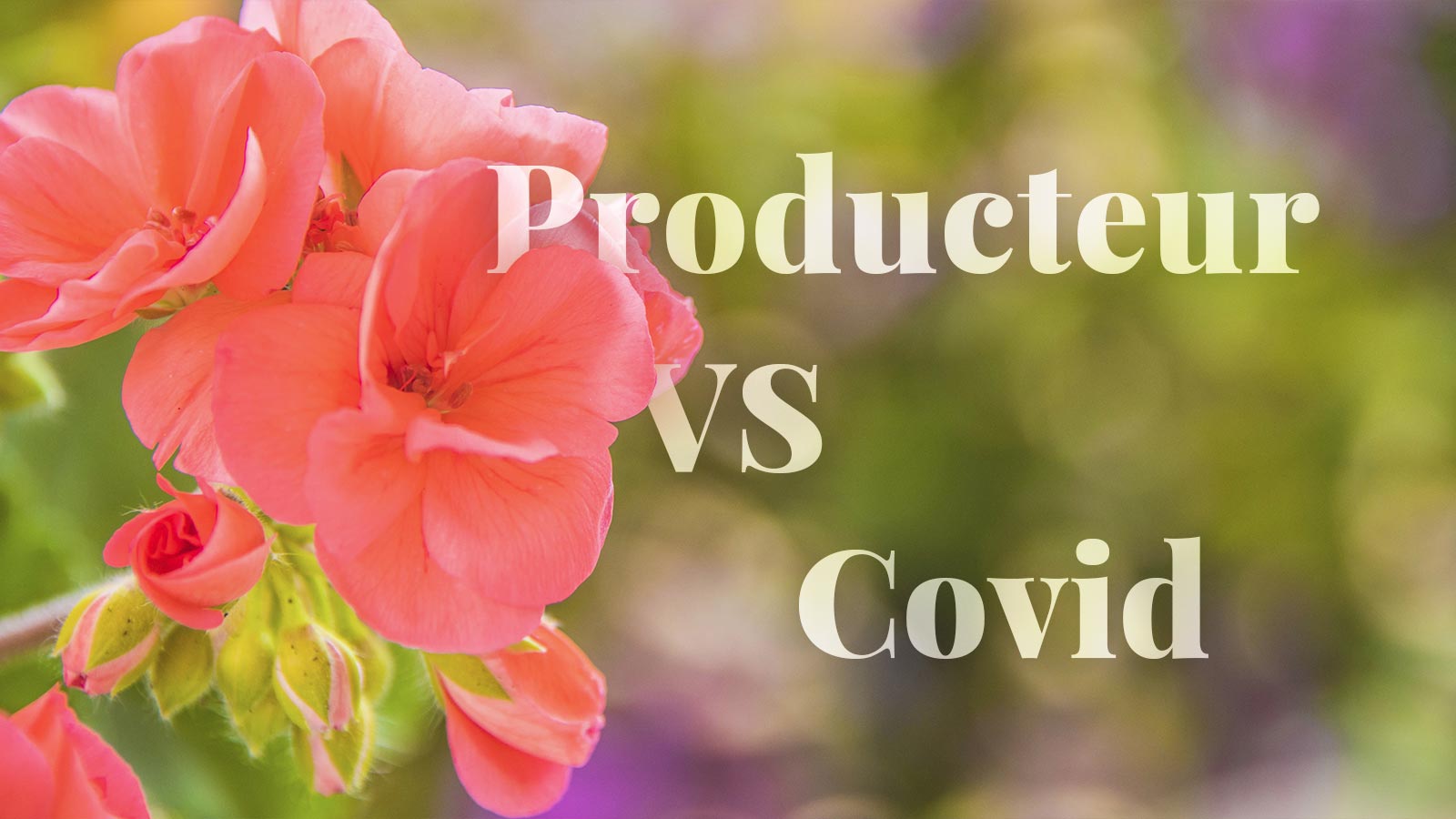 An emergency online store built in ten days for a family plant nursery during the first COVID lockdown.