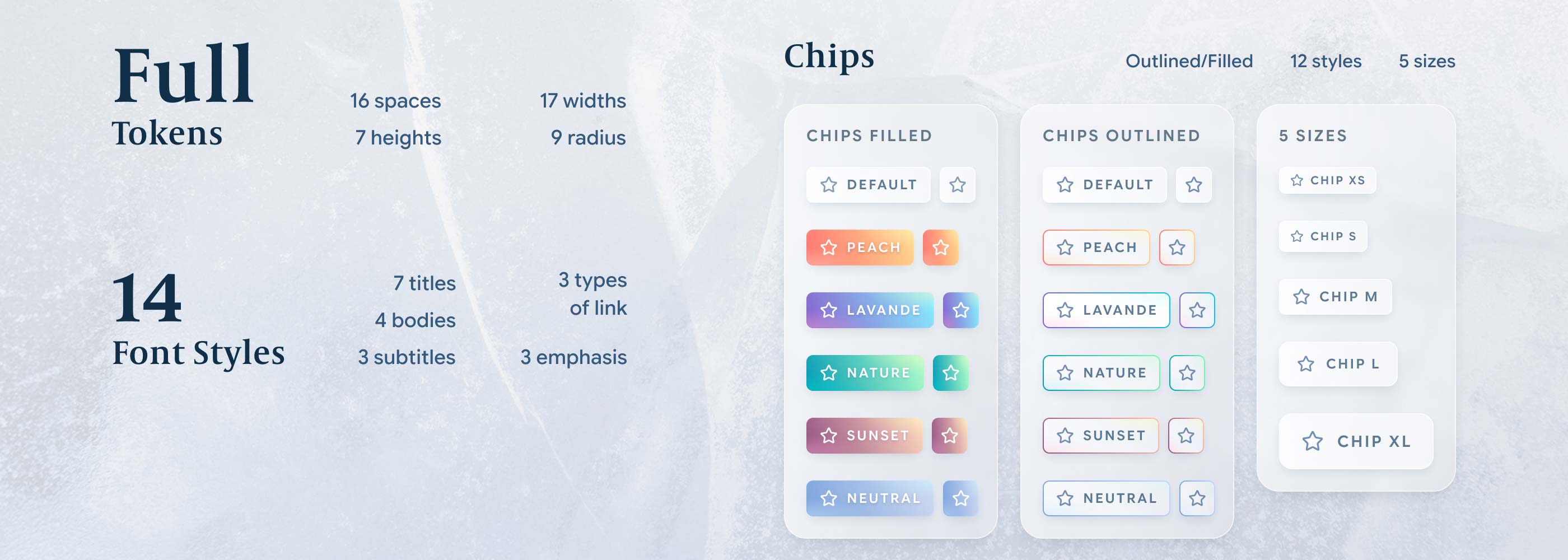 IceInsights design system: chips, fields and components