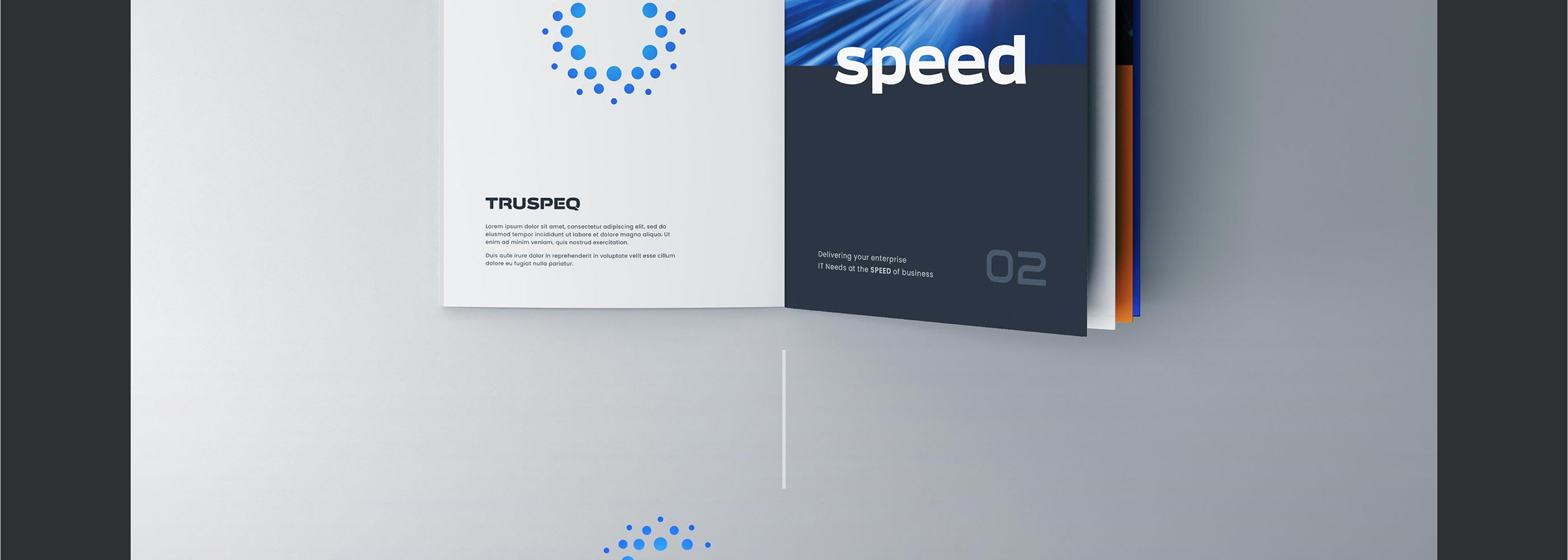Truspeq, visual 16